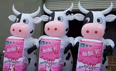 宣化牛奶厂广告气模